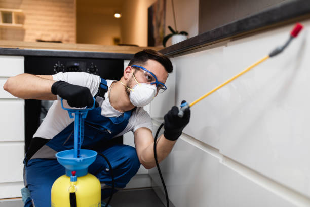 Best Bed Bug Extermination  in Walker, MI