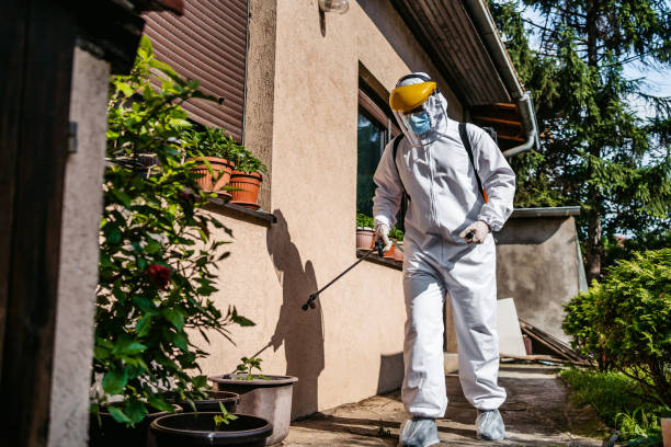 Best Termite Control Services  in Walker, MI