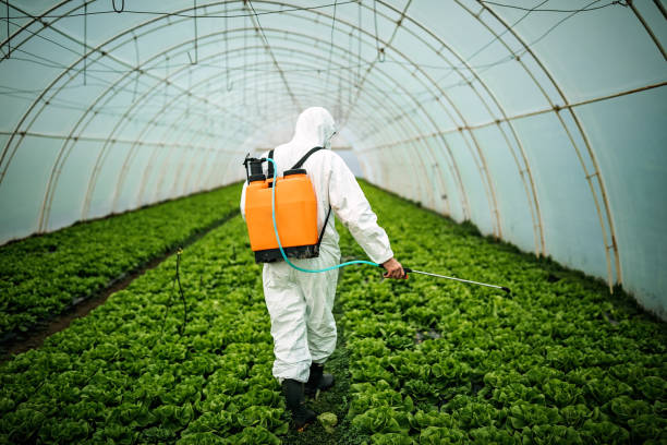Best Best Pest Control Companies  in Walker, MI