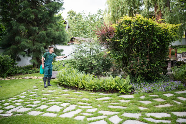 Best Local Pest Control Services  in Walker, MI