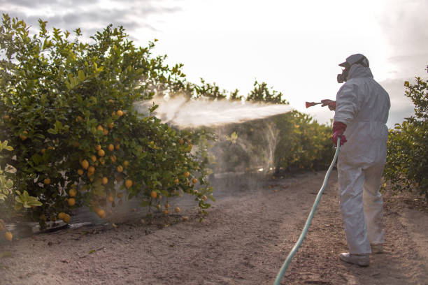 Best Affordable Pest Control Services  in Walker, MI