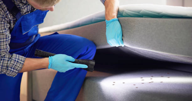Best Affordable Pest Control Services  in Walker, MI