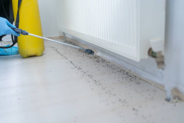 Best Pest Inspection Near Me  in Walker, MI