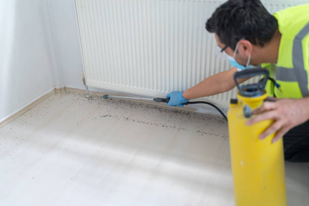 Reliable Walker, MI Pest Control Solutions