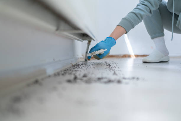Best Ant Control Services  in Walker, MI