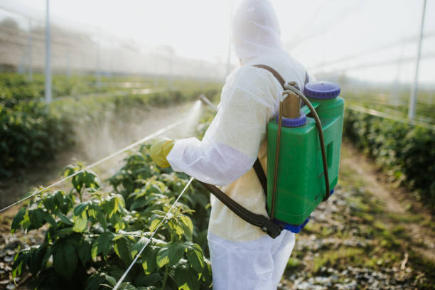 Best Flea Control Services  in Walker, MI